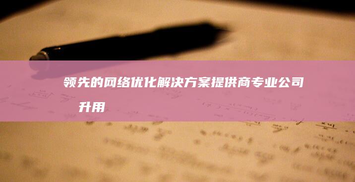 领先的网络优化解决方案提供商：专业公司提升用户体验